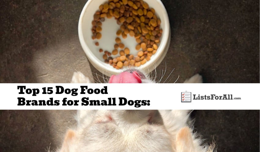 Best Dog Food Brands for Small Dogs