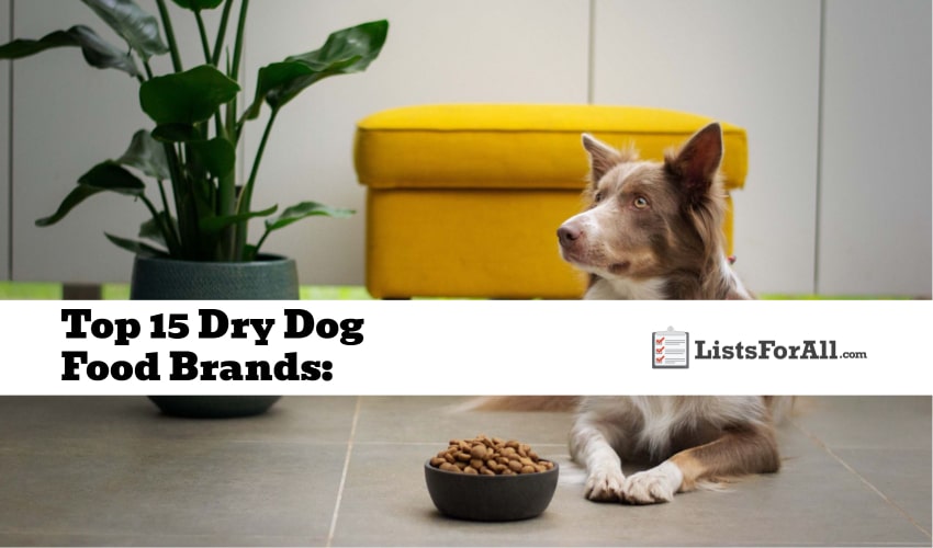 Best Dry Dog Food Brands