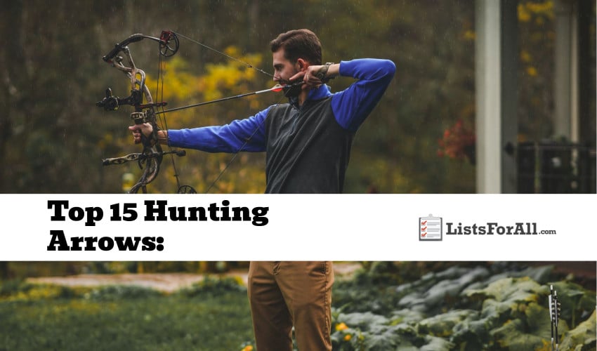 Best Hunting Arrows