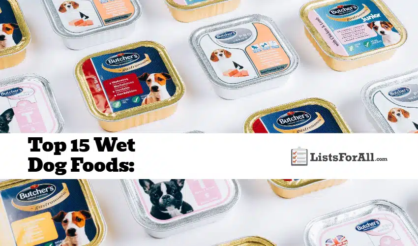 Best Wet Dog Foods