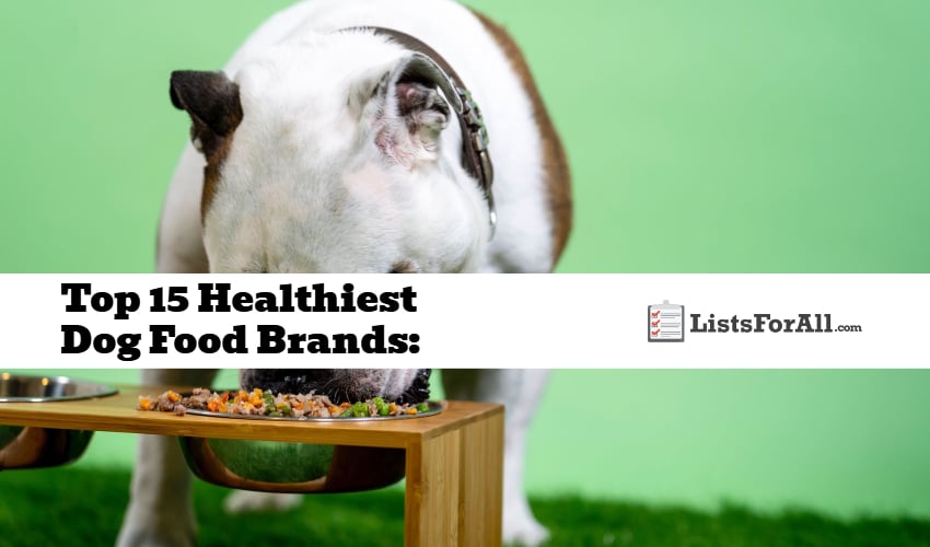 Healthiest Dog Food Brands