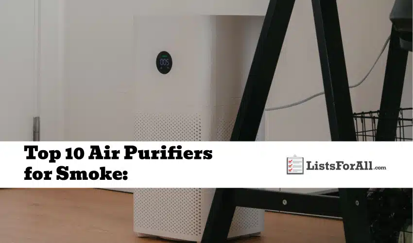 Best Air Purifiers for Smoke