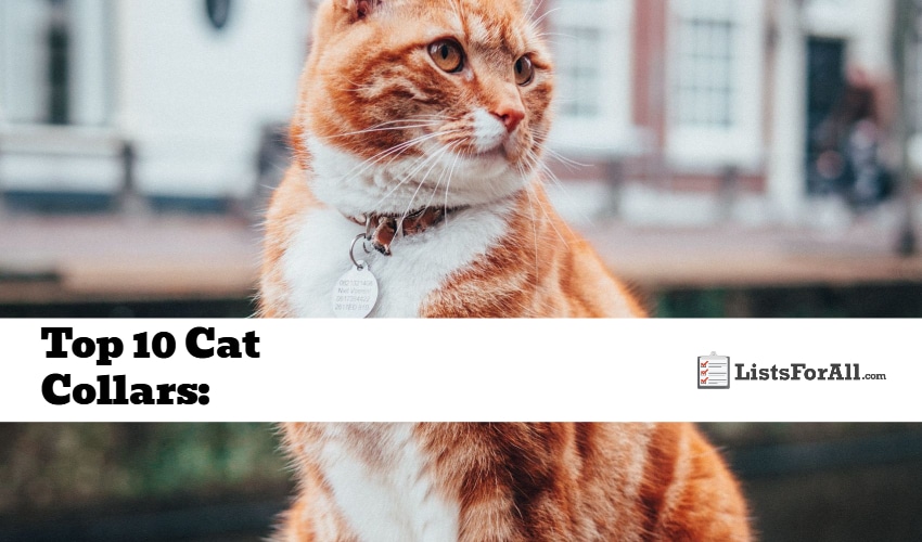 Best Cat Collars