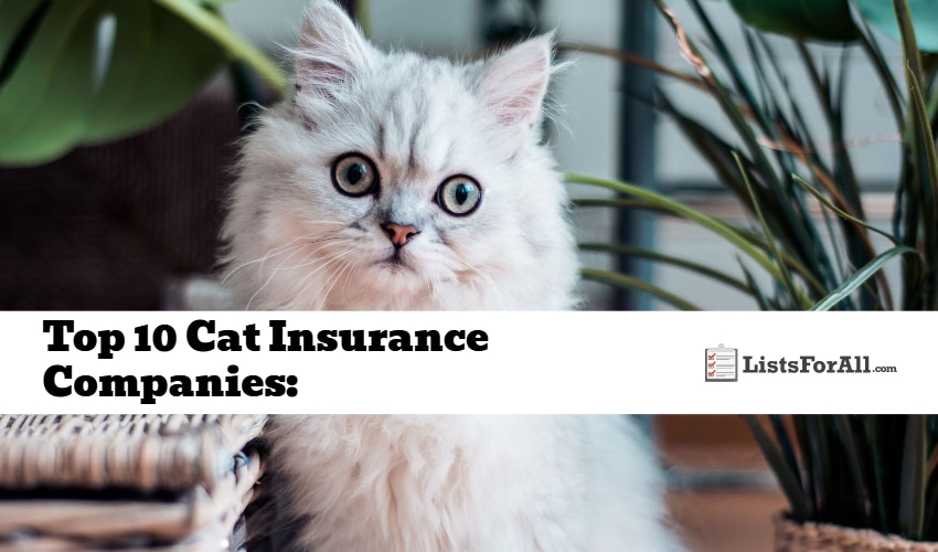 Best Cat Insurance Companies