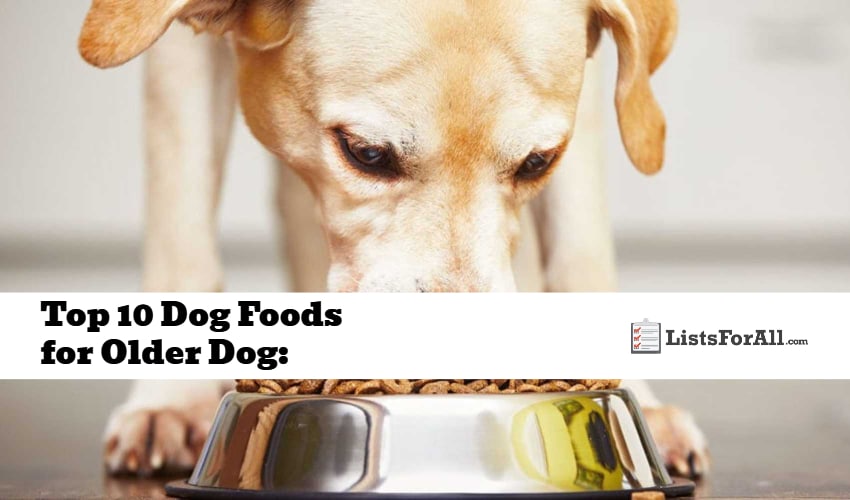 Best Dog Foods for Older Dog