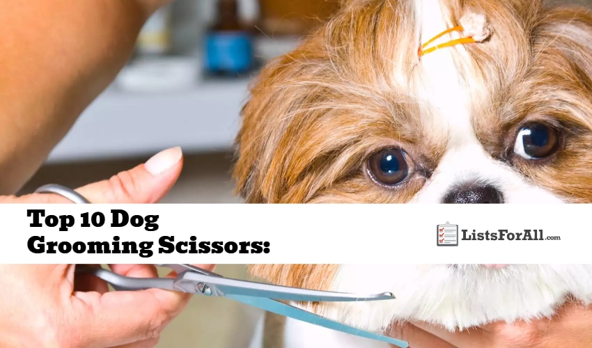 Best Dog Grooming Scissors