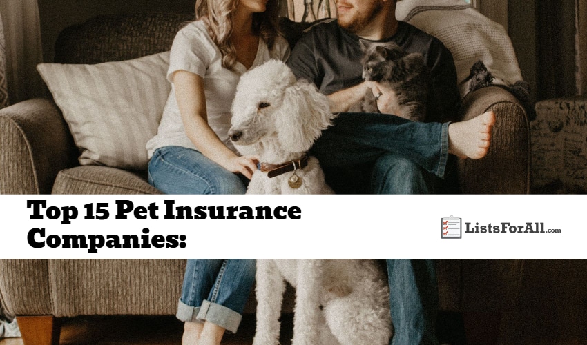 Best Pet Insurance Companies