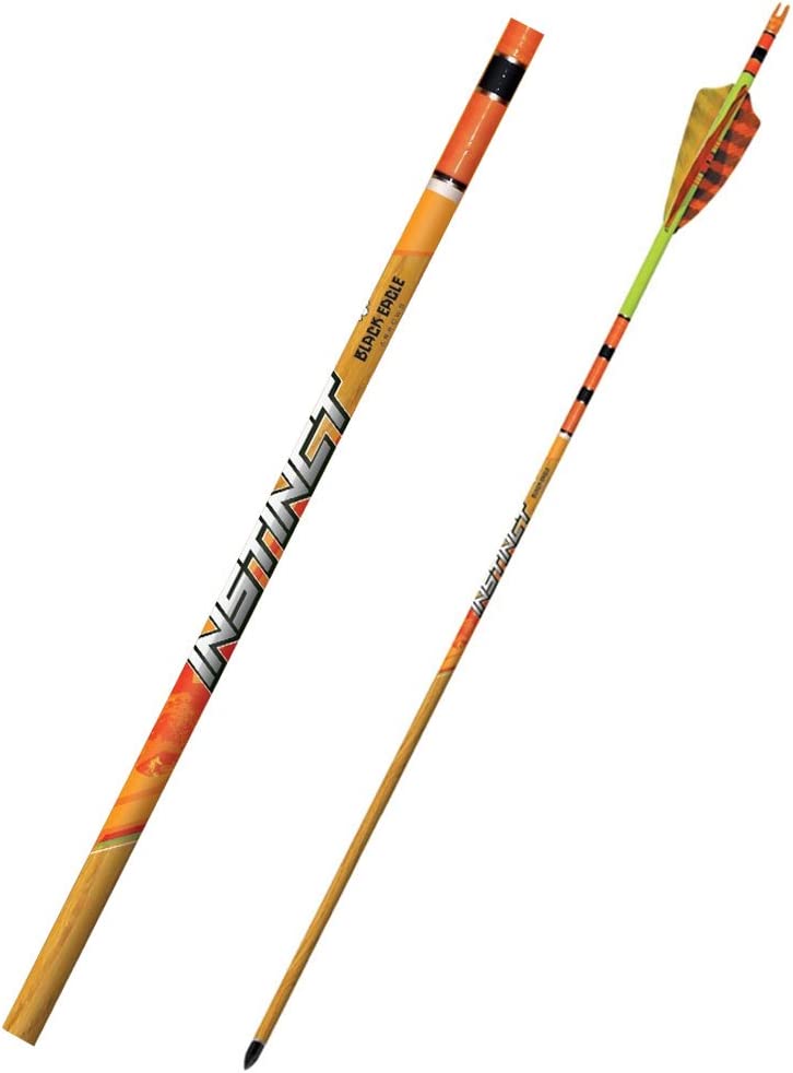 Black Eagle Instinct Hunting Arrows