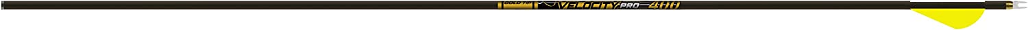 Gold Tip Velocity Hunting Arrows