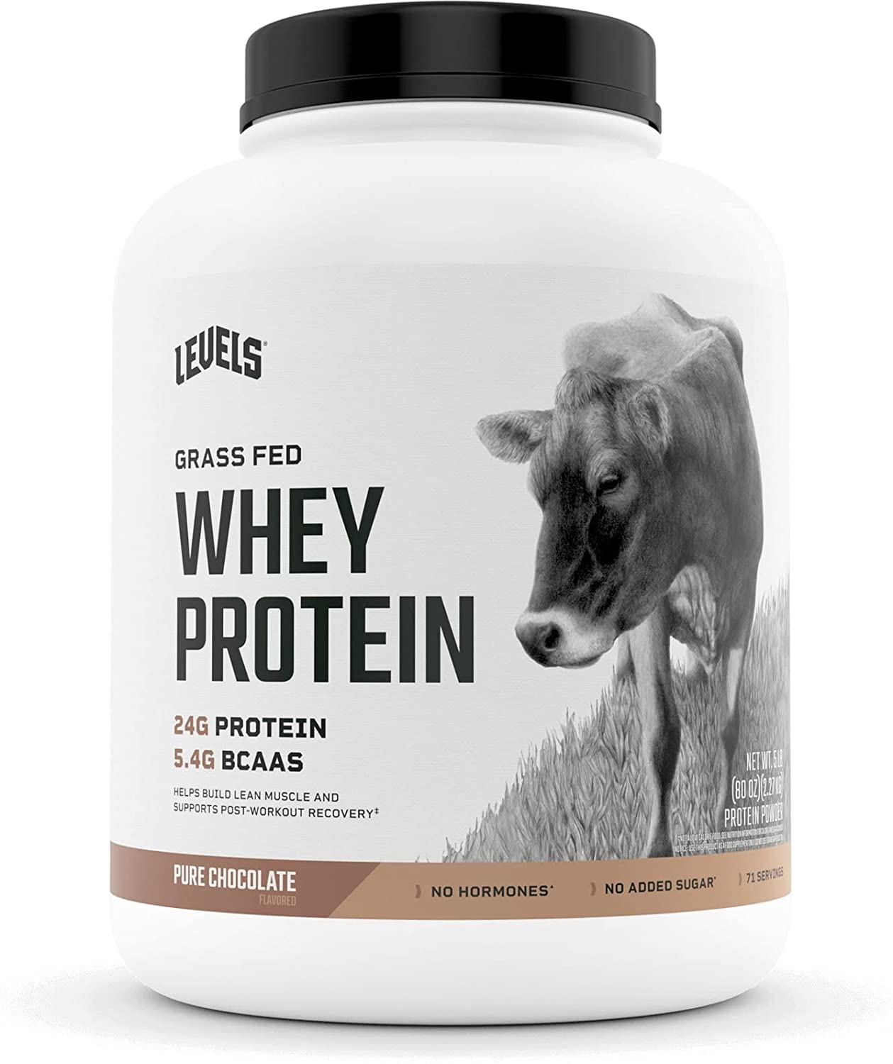 Levels Protein Powder