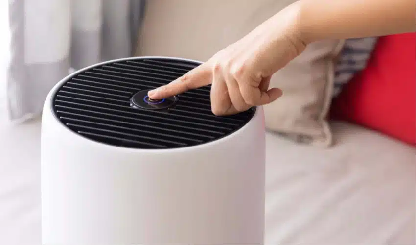 Top Air Purifiers for Allergies