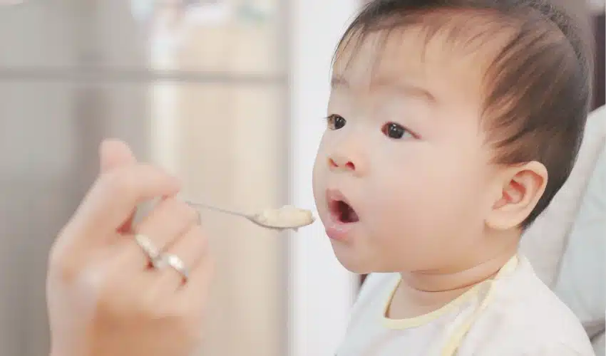 Top Organic Baby Foods