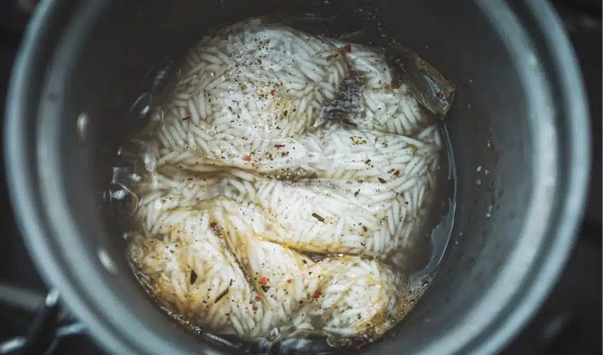 Top Rice Cookers