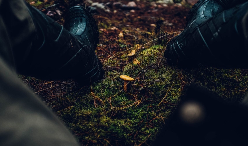 Top Rubber Hunting Boots