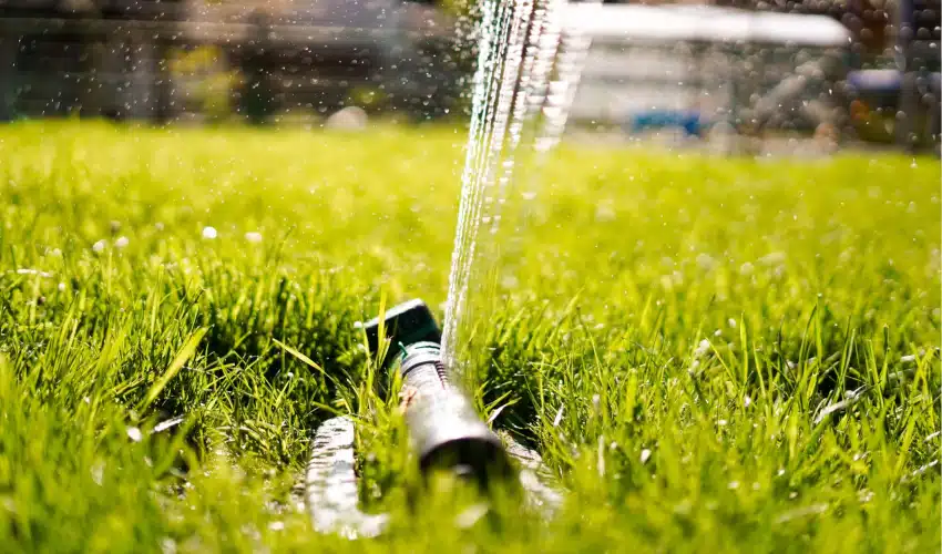 Top Sprinklers