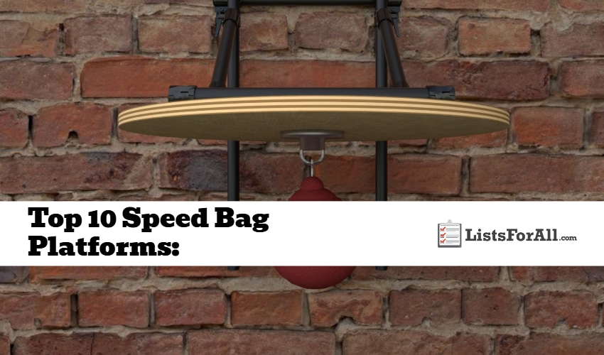 Best Speed Bag Platforms