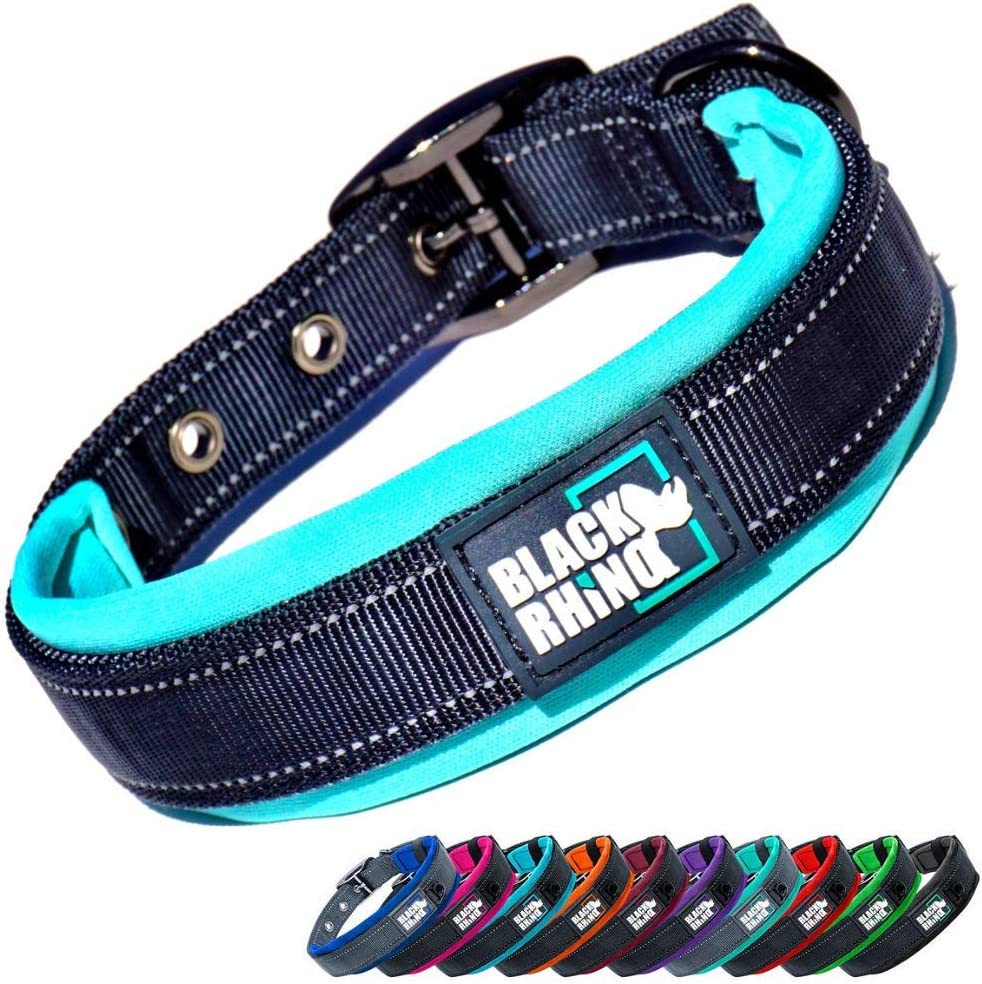 Black Rhino Small Dog Collar