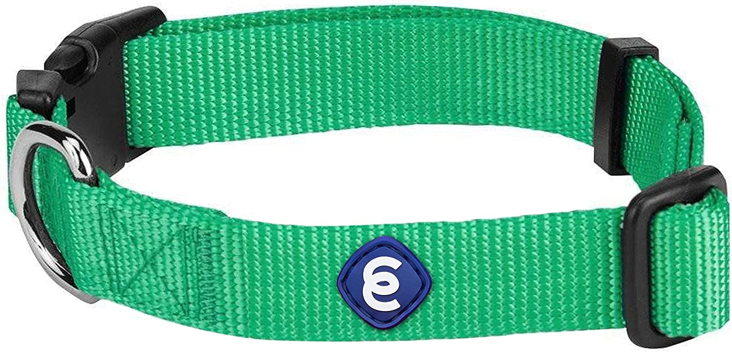 Blueberry Small Dog Collar