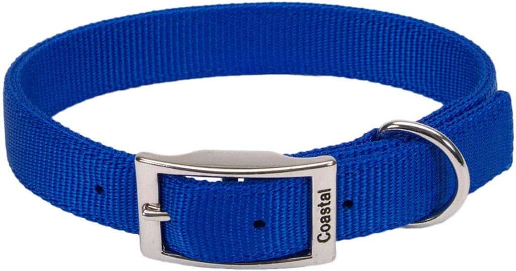 Coastal’s Small Dog Collar