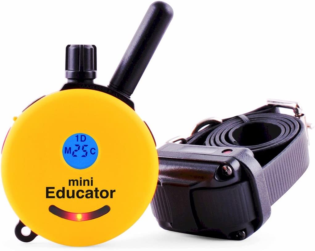 Educator E Collar