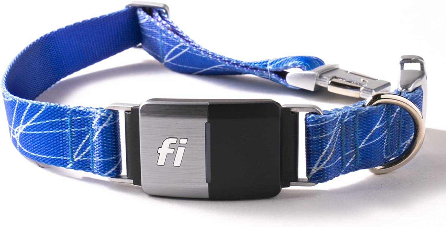 Fi Smart Dog Collar