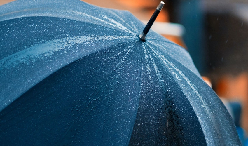 Top Rain Umbrellas