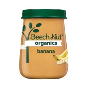 Beech-Nut Organic Stage 2 Baby Food