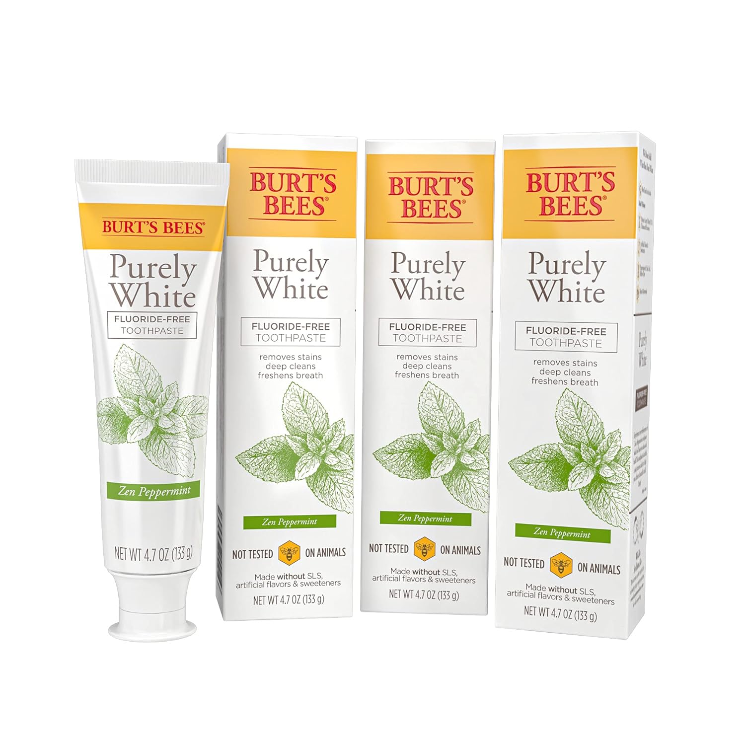 Burt’s Bees Fluoride-Free Toothpaste