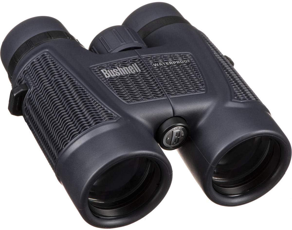 Bushnell H2O (8 x 42-mm)
