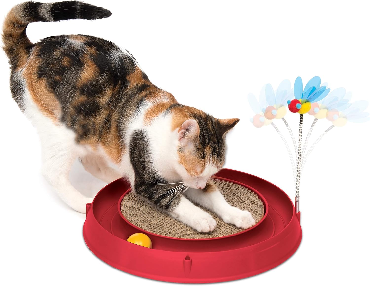 Catit Play and Scratch Toy