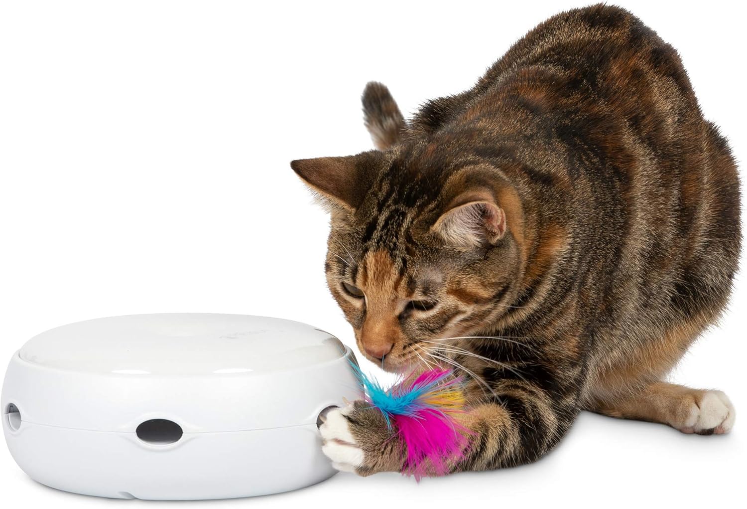 PetFusion Ambush Interactive Cat Toy