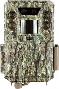 Bushnell Core DS No Glow