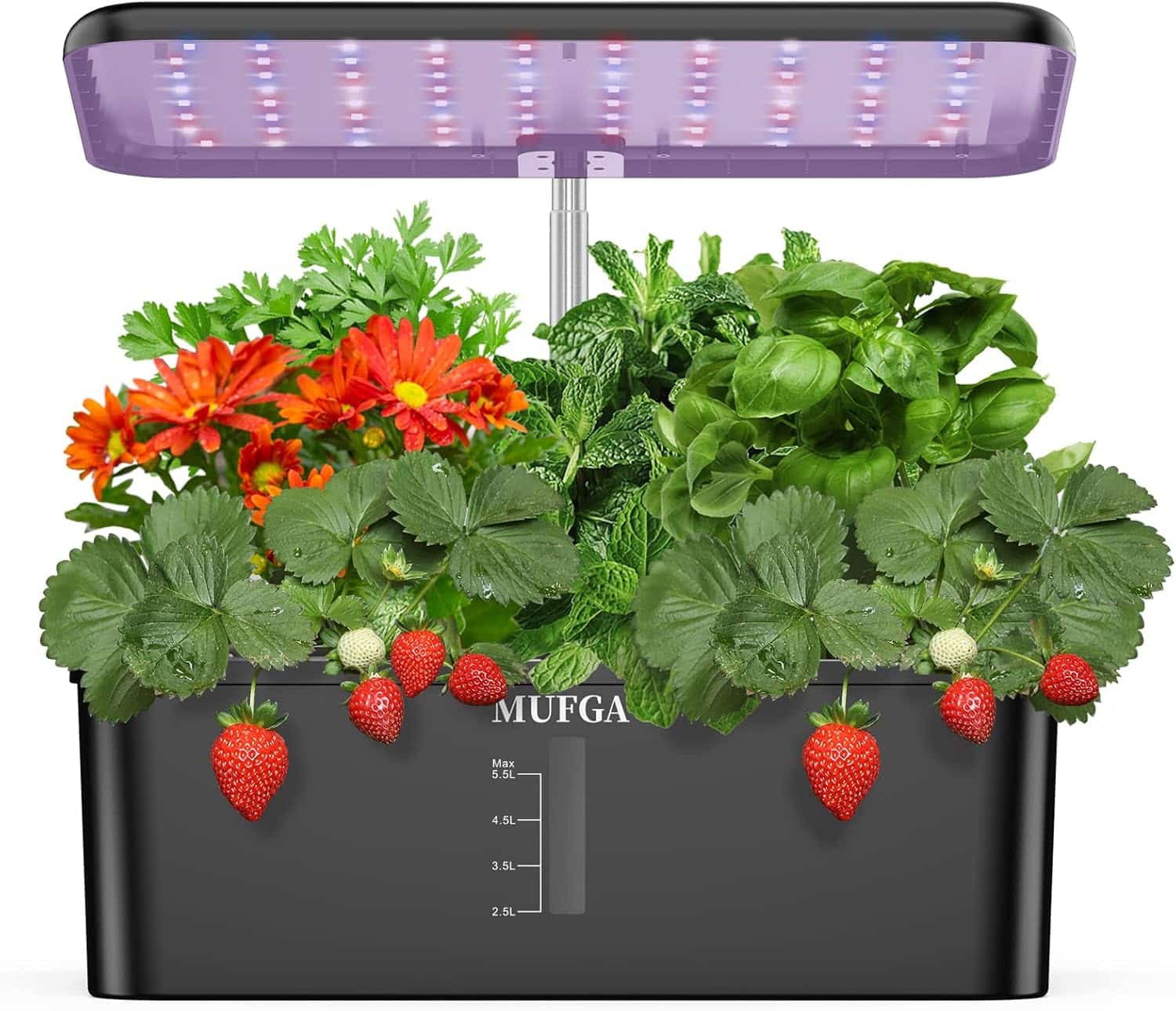 MUFGA 12 Pods Hydroponics Growing System