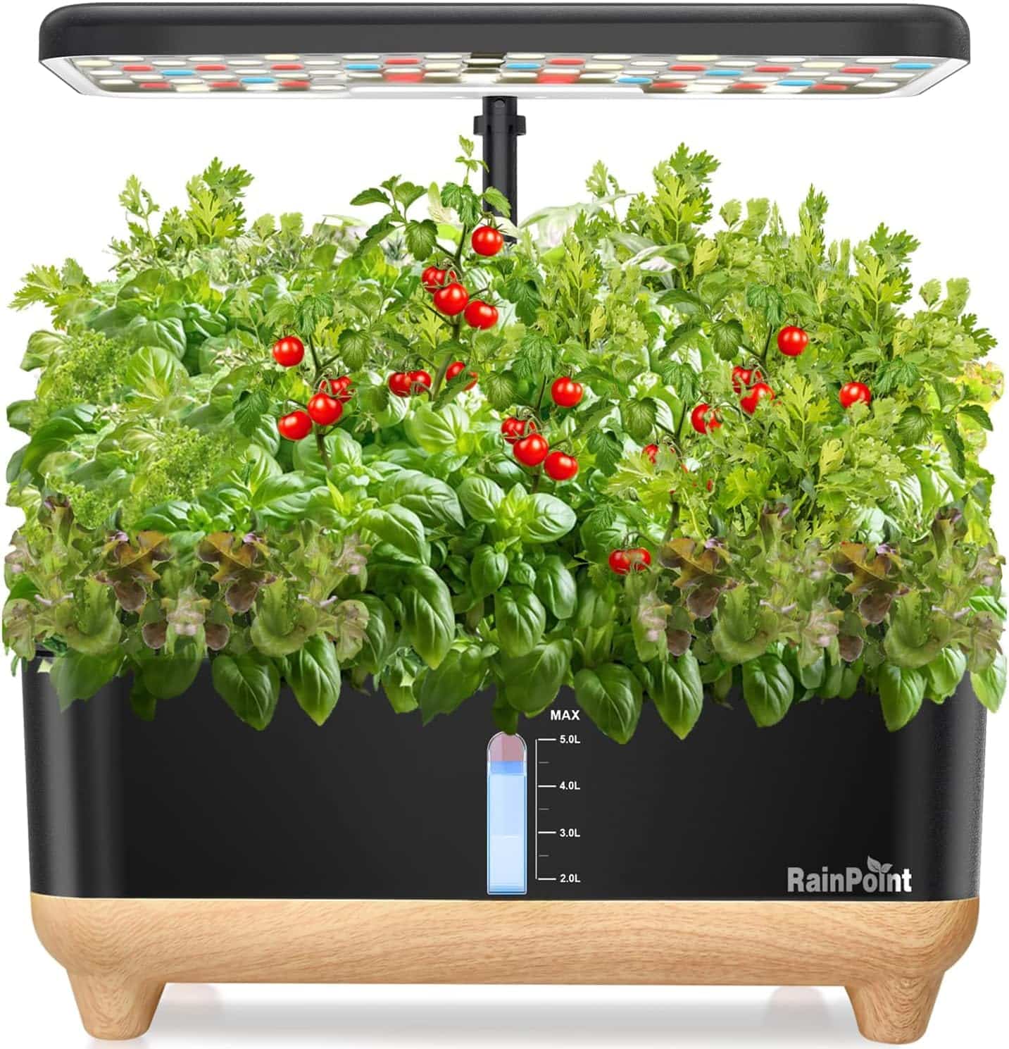 RAINPOINT Indoor Hydroponics Growing System