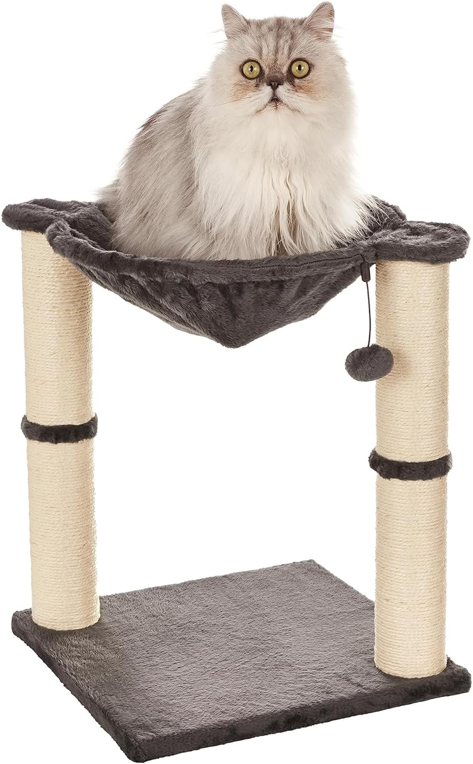 Amazon Basics Cat Scratching Post and Hammock