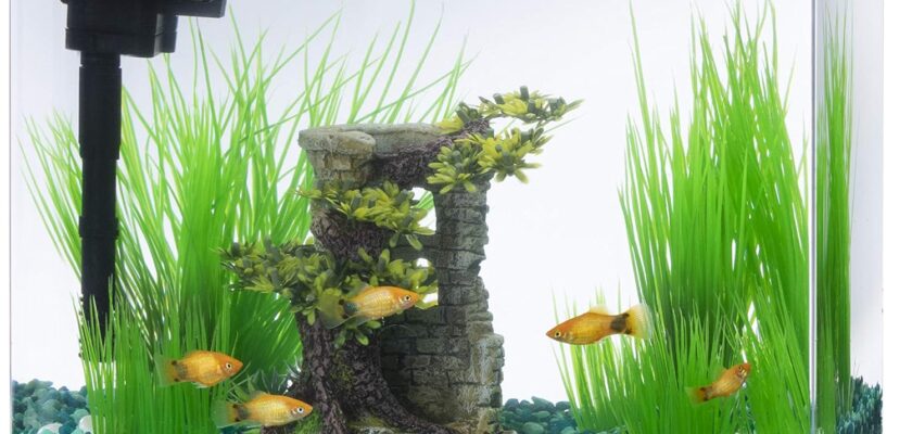 Aqueon LED MiniBow Aquarium Starter Kit – 5 Gallon