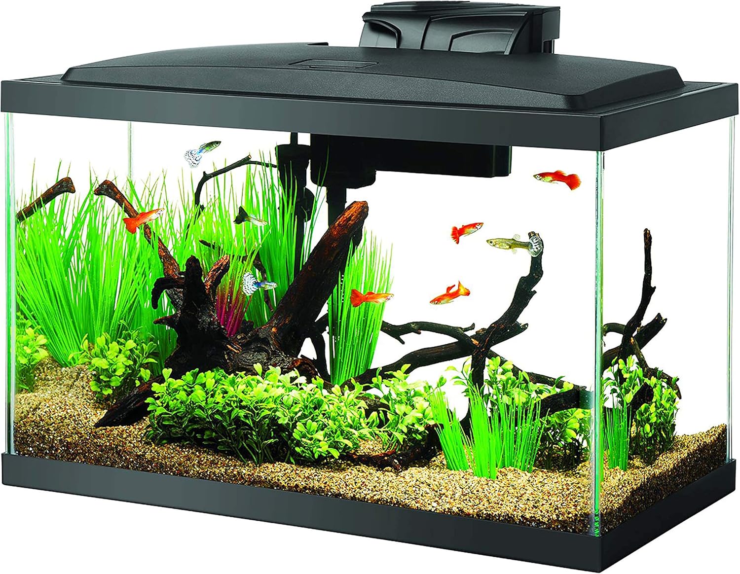 Aqueon NeoGlow LED Aquarium Kit – 10 Gallon