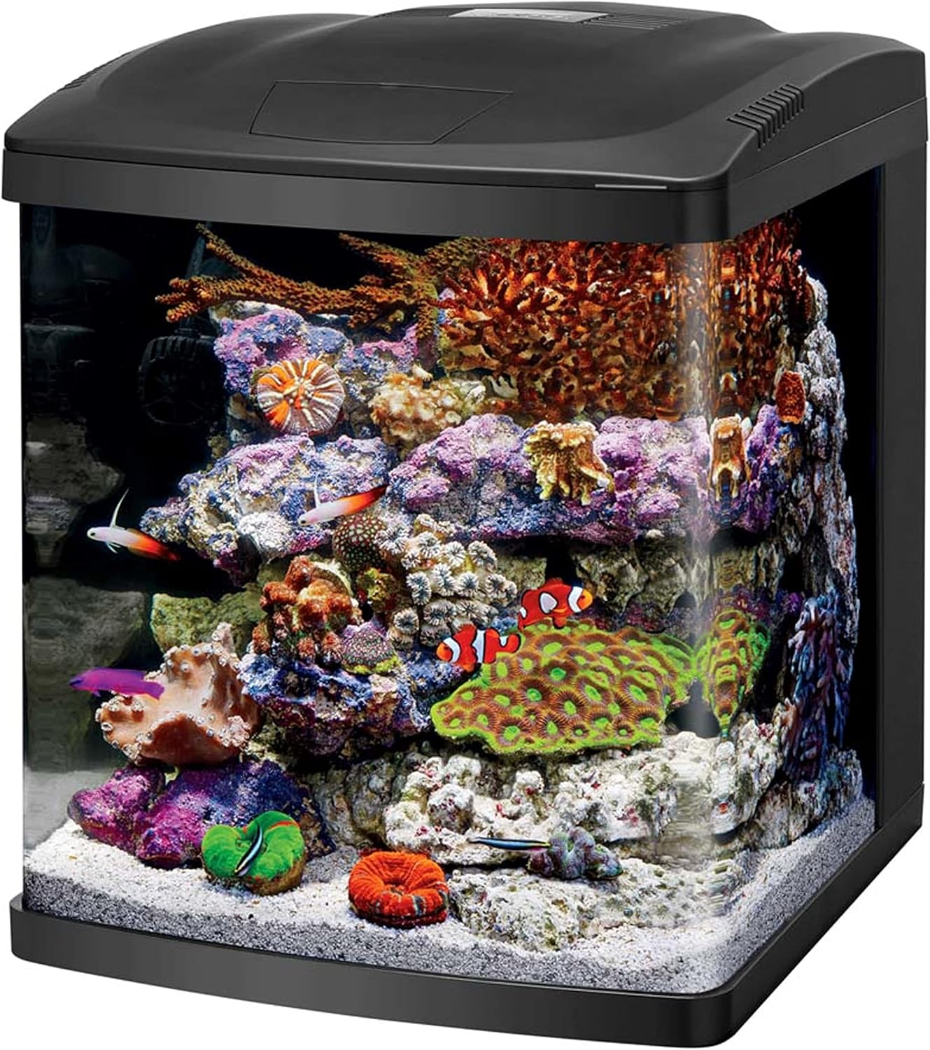 Coralife LED BioCube Aquarium Kit – 16 Gallon