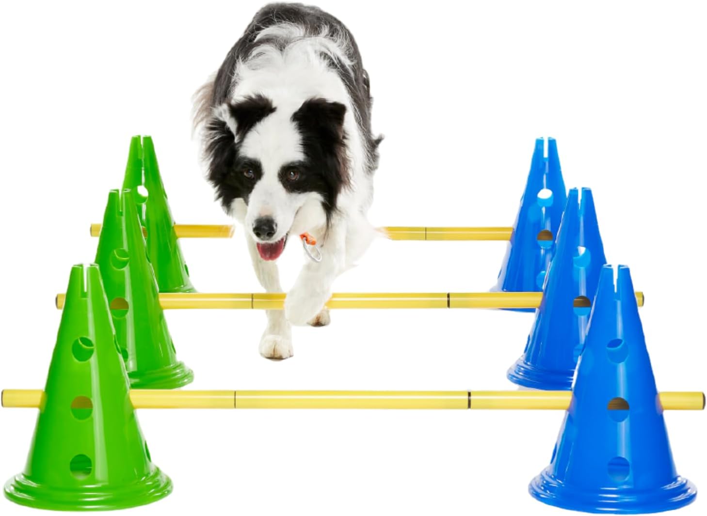 FitPAWS CanineGym Agility Kit
