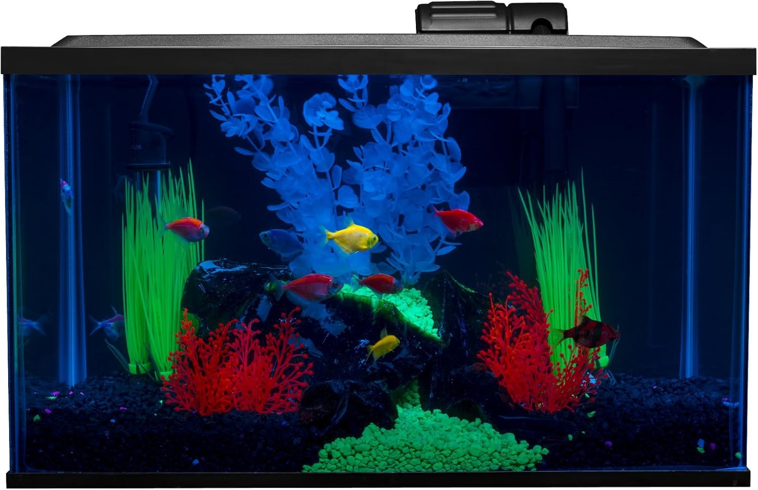 GloFish Aquarium Kit – 10 Gallon