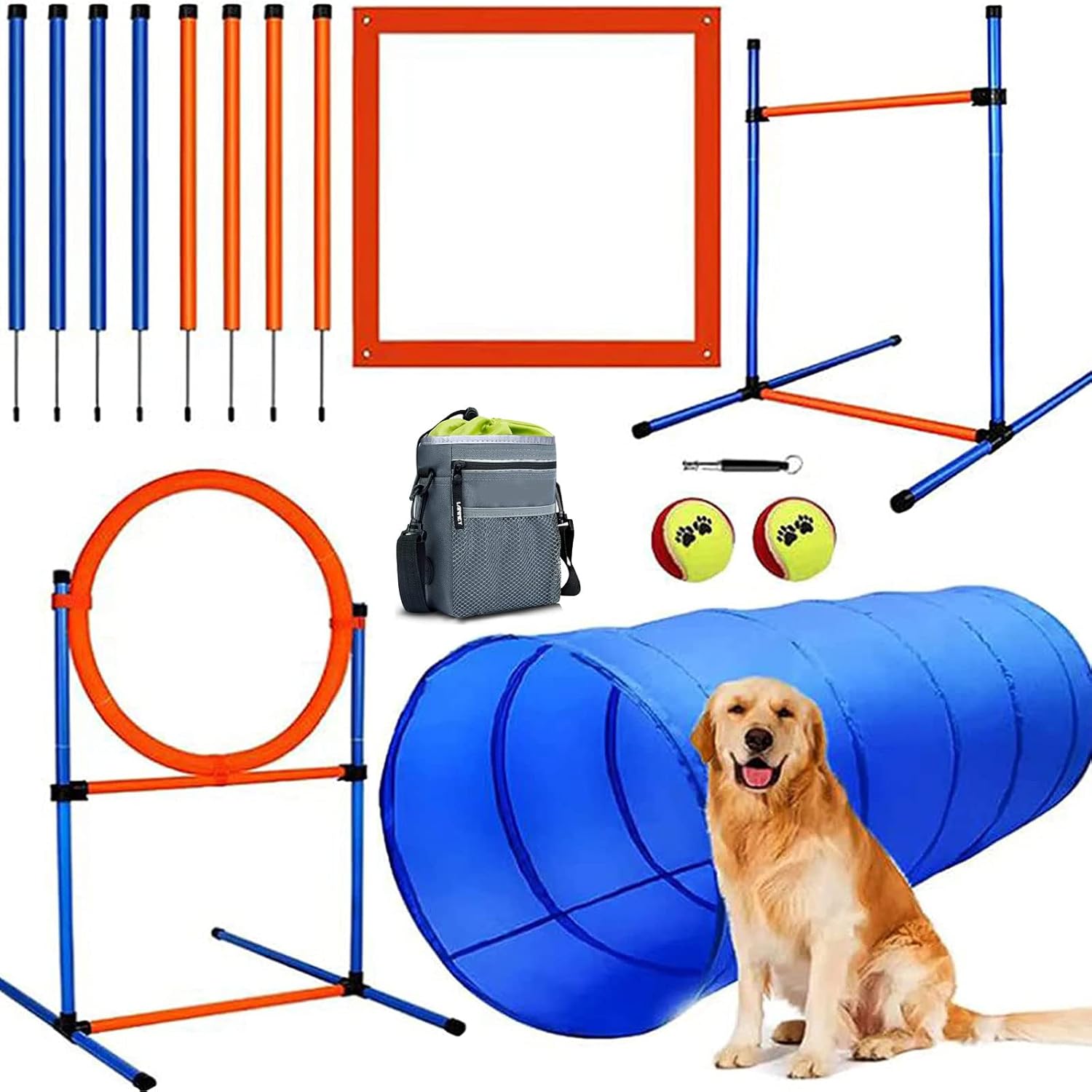 JMMPOO Affordable Agility in the Bag Starter Kit