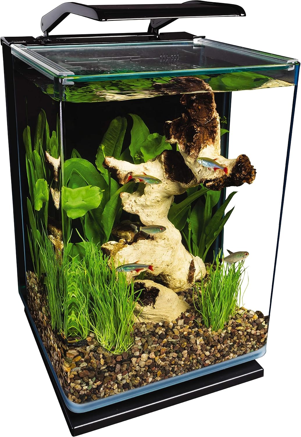 Marineland Portrait Glass LED Aquarium Kit – 5 Gallon