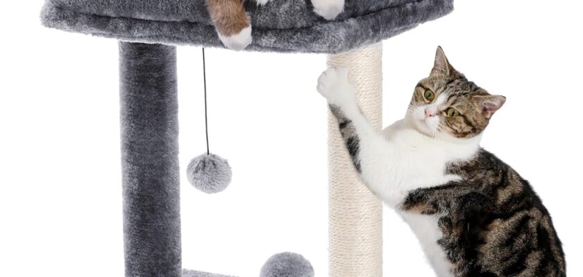 PAWZ Road Cat Scratching Post