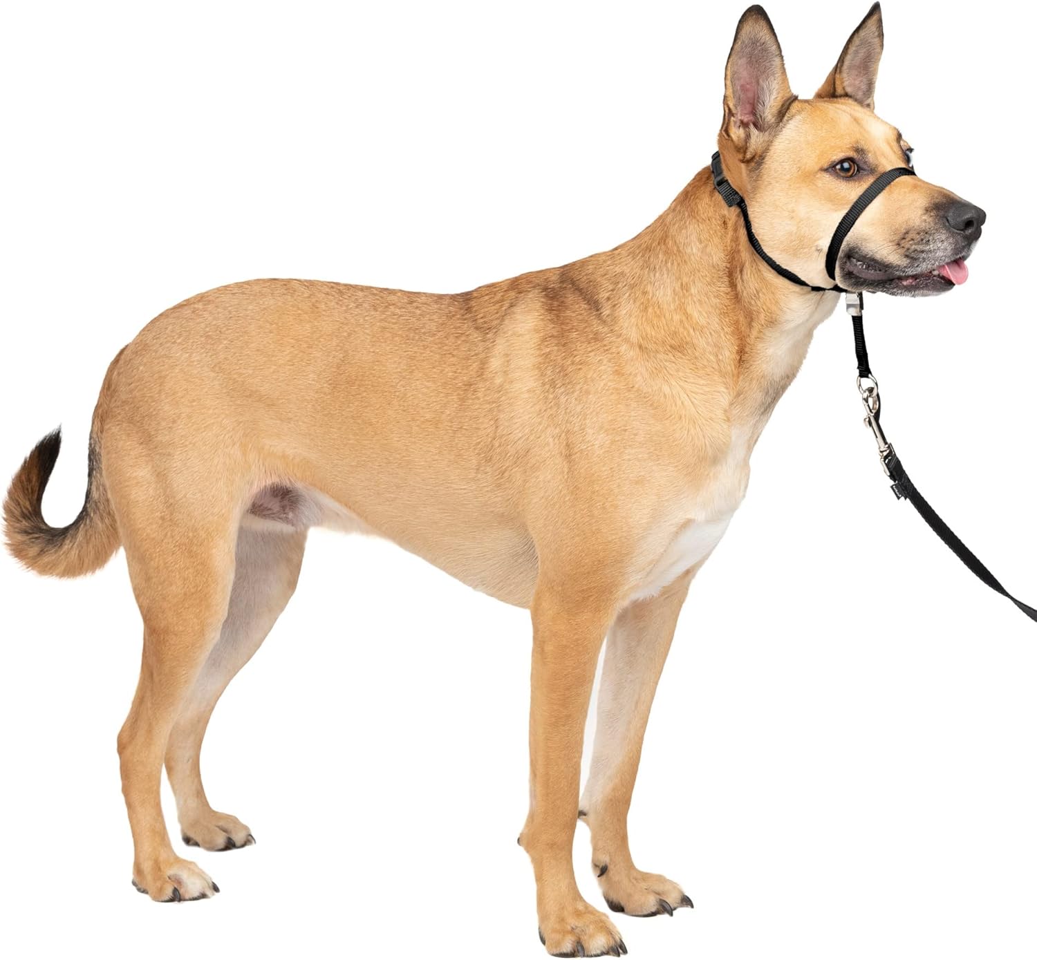 PetSafe Gentle Leader Headcollar