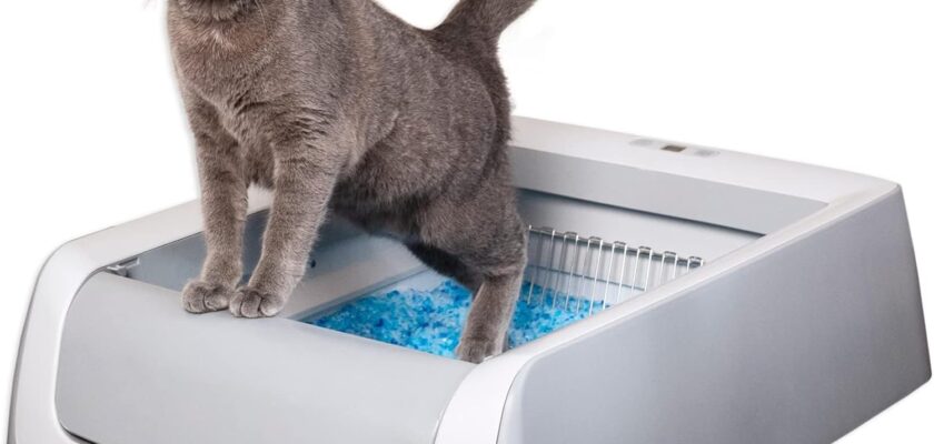 PetSafe ScoopFree Smart Self-Cleaning Litter Box