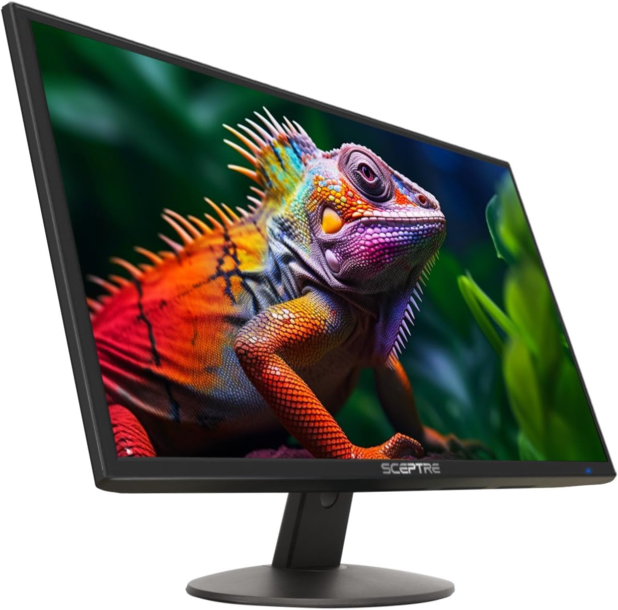 Sceptre E248W-19203R 24” Monitor