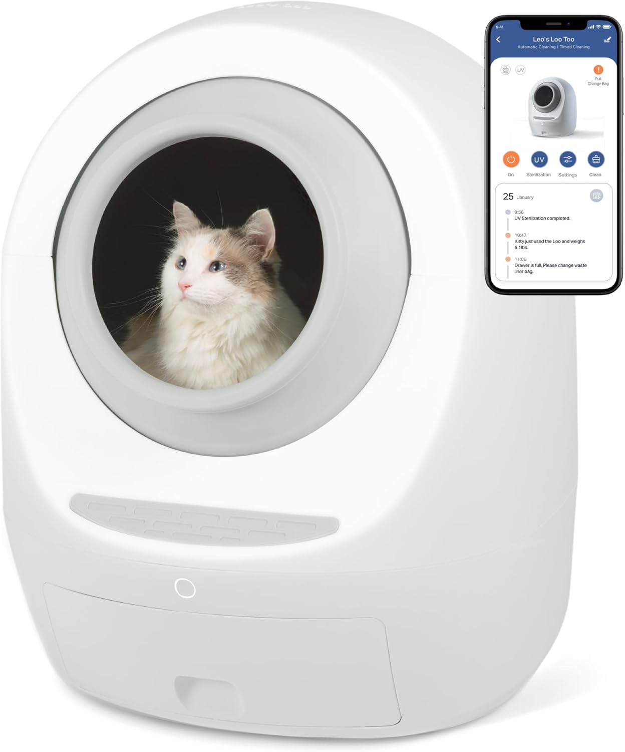 Smarty Pear Leo's Loo Too
